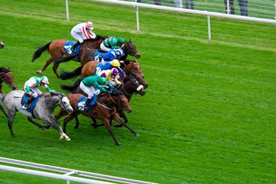 Horse Racing Syndicates - Buying A Race Horse